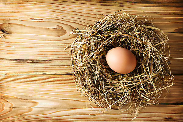 포토 JPG 해외이미지 음식 백그라운드 자연 탁자 조류 부활절 건강 사람없음 목재 농장 갈색 우주 계란 치킨 수확 신선 소나무 닫기 둥지 볏짚 아침식사 널 정상 심볼 복고 밀짚 내추럴 옛날 카피스페이스 해외202004 해외포토 나무 동물 기념일 컬러 가구 농업 재료 모션 알 식사 공백 짚 생태계 닭고기요리 파일형식 이미지허브