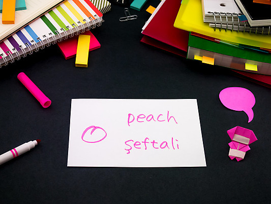 포토 JPG 해외이미지 학생 영어 교육 문화 텍스트 통신 교실 학교 수업 사람없음 책 단어 스터디 세계 글로벌 연필 펜 쪽지 공책 거품 시험 퀴즈 가르침 멜론 강의 풍선 사전 닌자 소셜 번역 해외202004 튀르키예 해외포토 문자 아시아 과일 문구용품 학용품 학습 필기구 파일형식 이미지허브