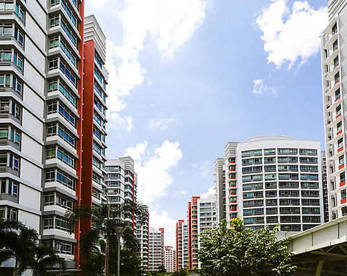 포토 JPG 해외이미지 나무 외관 공원 오렌지 건축양식 자동차 하늘 부동산 새로움 아파트 주택 사람없음 건물 초록색 파란색 정원 고층빌딩 블록 도시 재산 큼 상승 콘도 타운 리빙 이웃 싱가폴 대여 대출 개발 스타일 많음 해외202004 해외포토 식물 건축물 공공시설 건축 아시아 육상교통 컬러 컨셉 과일 숙소 빌딩 금융 크기 파일형식 이미지허브