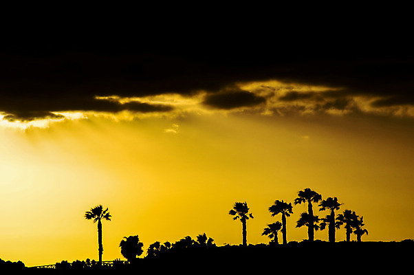 포토 JPG 해외이미지 나무 식물 구름 1 남자 실루엣 아시아 여행 포즈 밭 모션 자연 하늘 손바닥 그림자 사람 동양인 풍경 사람없음 세로 빛 컬러풀 햇빛 태양 숫자 일출 검은색 황혼 일몰 새벽 시골 오르기 베트남 내추럴 해외202004 해외포토 자연요소 문자 손 나라 컬러 농업 촬영기법 인종 노을 동남아시아 생태계 파일형식 이미지허브