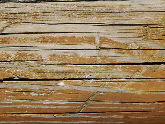 포토 JPG 해외이미지 디자인 백그라운드 패턴 자연 탁자 표면 추상 바닥 사람없음 목재 갈색 판넬 널 낟알 질감 수목 옛날 파케트 해외202004 해외포토 나무 컬러 가구 무늬 재료 생태계 파일형식 이미지허브