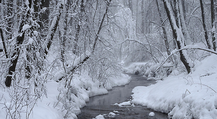 포토 JPG 해외이미지 나무 계절 백그라운드 크리스마스 겨울 자연 날씨 풍경 사람없음 물 파란색 강 냉동 얼음 침묵 추위 흰색 숲 서리 장면 1월 내추럴 눈내림 해외202004 해외포토 자연요소 식물 기념일 컬러 눈_날씨 소리 날짜 생태계 파일형식 이미지허브