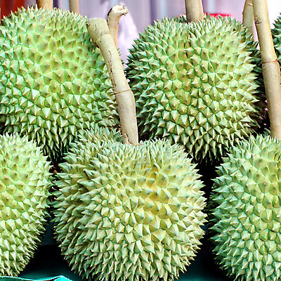 포토 JPG 해외이미지 백그라운드 농업 다이어트 과일 태국 건강 사람없음 초록색 주스 신선 시장 달콤 맛 먹기 날것 식료품점 해외202004 해외포토 산업 아시아 음료 컬러 컨셉 모션 상점 파일형식 이미지허브