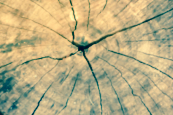 포토 JPG 해외이미지 디자인 벽 백그라운드 자연 탁자 표면 주택 사람없음 야외 목재 빛 울타리 갈색 우주 수확 흰색 널 정상 소프트포커스 계산대 책상 질감 복고 블러 옛날 해외202004 해외포토 나무 컬러 가구 농업 재료 촬영기법 건물 담장 생태계 파일형식 이미지허브