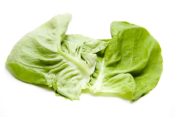 포토 JPG 해외이미지 음식 잎 채소 사람없음 초록색 식사 샐러드 수확 신선 상추 먹기 흰배경 날것 해외202004 해외포토 식물 컬러 백그라운드 농업 모션 흰색 파일형식 이미지허브