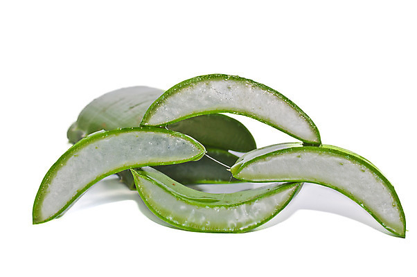 포토 JPG 해외이미지 식물 꽃 음료 잎 벽지 불 선인장 건강 사람없음 초록색 물 약 젖음 추위 흰색 어플리케이션 시원함 허브 로션 성분 고립 넘어짐 돌봄 알로에 예방주사 카피스페이스 해외202004 해외포토 자연요소 컬러 의학 모션 주사기 화장품 공백 예방 파일형식 이미지허브