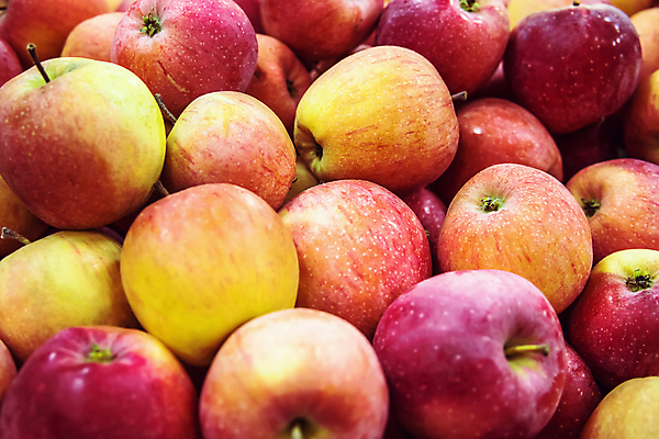 포토 JPG 해외이미지 열매 음식 백그라운드 다이어트 과일 비즈니스 재료 실내 건강 그림자 사람없음 빨간색 초록색 세일 상점 금지 수확 성장 신선 시장 달콤 사과 큼 다발 배열 먹기 계산대 상쾌 유기농 질감 날것 쇼 모음 슈퍼마켓 내추럴 송아지 숙성 해외202004 해외포토 식물 웰빙 감정 새끼 컬러 농업 모션 내부 소 맛 크기 파일형식 이미지허브