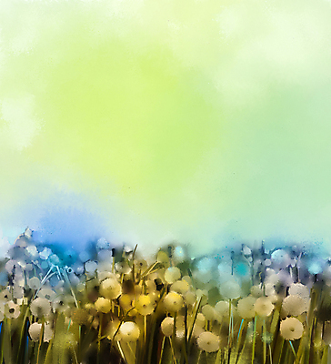 JPG 해외이미지 꽃 일러스트 사람없음 그림 손그림 민들레홀씨 유화 카피스페이스 해외202004 해외일러스트 식물 미술 공백 민들레 파일형식 이미지허브