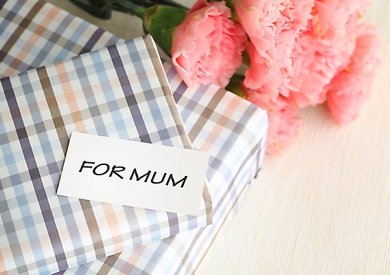 포토 JPG 해외이미지 꽃 리본 사람없음 선물상자 카네이션 해외202004 해외포토 식물 선물 상자 파일형식 이미지허브