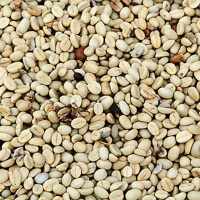 포토 JPG 해외이미지 식물 산업 커피 음식 백그라운드 농업 과일 재료 자연 콩 건조 사람없음 초록색 농작물 태양 농장 신선 굽기 유기농 날것 아라비카 카페인 해외202004 해외포토 자연요소 웰빙 음료 컬러 곡류 구이 생태계 파일형식 이미지허브