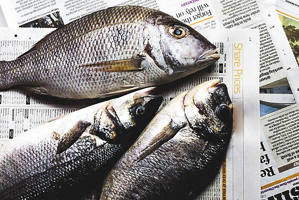 포토 JPG 해외이미지 벽 곰 거리 어류 사람없음 금융 판매 검은색 어둠 거품 거래 도구 뉴스 시장 선택 구매 가격 탈출 해산물 황소 외화 투자 날것 공포 도미 풍선 인덱스 공유 욕심 나쁜 금요일 목요일 수요일 월요일 위기 정물화 화요일 해외202004 해외포토 동물 컬러 컨셉 비즈니스 포유류 경제 쇼핑 수중동물 소 그림 요일 파일형식 이미지허브