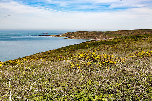 포토 JPG 해외이미지 식물 구름 계절 공원 유럽 모래 파도 바다 여행 백그라운드 자연 하늘 휴가 산 풍경 사람없음 야외 초록색 물 여름 파란색 태양 환경 맑음 프랑스 바위 흰색 만 언덕 북쪽 밀짚 내추럴 해외202004 해외포토 자연요소 공공시설 나라 컬러 날씨 돌_바위 짚 방향 생태계 파일형식 이미지허브