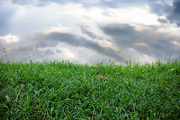 포토 JPG 해외이미지 구름 계절 유럽 호수 여행 농업 태국 자연 하늘 아침 풍경 사람없음 야외 초록색 물 여름 파란색 강 반사 일출 환경 맑음 봄 시골 연못 신선 땅 에코 장면 러시아인 수평선 해외202004 해외포토 주간 자연요소 서양인 나라 산업 아시아 컬러 날씨 노을 생태계 파일형식 이미지허브