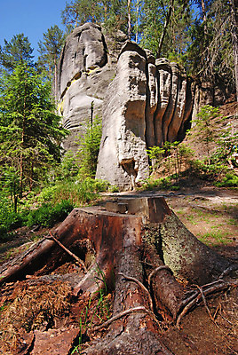포토 JPG 해외이미지 나무 식물 자연 하늘 추상 산 풍경 사람없음 야외 초록색 여름 파란색 탑 골짜기 등산 회색 탐험 숲 부식 통로 통나무 뿌리 나무껍질 체코 사암 타운 미로 내추럴 산악가 석회암 썩음 해외202004 해외포토 건축물 계절 유럽 컬러 무늬 트래킹 껍질 암석 돌_바위 도시 생태계 파일형식 이미지허브