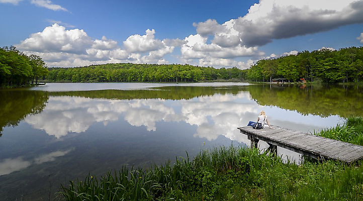 포토 JPG 해외이미지 응시 여자 행복 호수 바다 자연 휴식 사랑 사람없음 가로 물 강 항구 봄 슬픔 흰색 관찰 좌절 고독 갑판 걱정 포트 석호 혼자 수평선 해외202004 해외포토 자연요소 시선 계절 감정 컬러 컨셉 배_교통 교통시설 모션 사람 생태계 파일형식 이미지허브