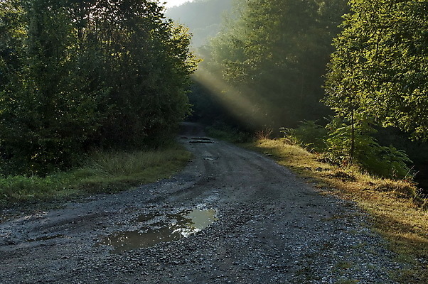 포토 JPG 해외이미지 나무 구름 도로 하늘 산 사람없음 햇빛 태양 숲 암초 불가리아 해외202004 해외포토 자연요소 식물 길 교통시설 파일형식 남유럽 이미지허브