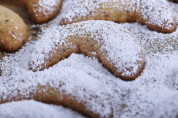 포토 JPG 해외이미지 크리스마스 조류 사람없음 얼음 설탕 굽기 성분 바닐라 페스츄리 많음 해외202004 해외포토 자연요소 동물 기념일 빵 컨셉 구이 파일형식 이미지허브