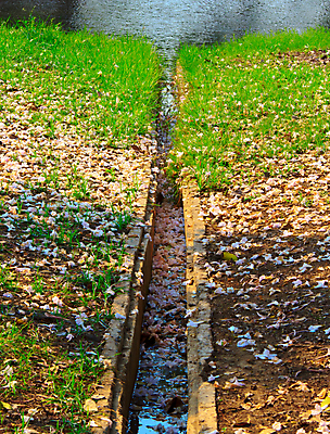 포토 JPG 해외이미지 식물 전통 외관 유럽 잎 건축양식 자연 지붕 날씨 아파트 이끼 사람없음 야외 목재 초록색 물 갈색 마을 금속 봄 거품 흐름 추위 마시기 흰색 시골 신선 입 투명 개울 모서리 떨어짐 보호 사자 버리기 그리스 분수 콘도 내추럴 해외202004 해외포토 자연요소 나무 계절 건축 나라 컬러 컨셉 재료 포유류 모션 재질 숙소 주택 신체부위 강 생태계 파일형식 이미지허브