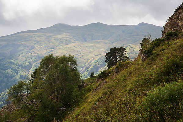 포토 JPG 해외이미지 식물 백인 구름 유럽 여행 백그라운드 자연 하늘 산 파노라마 종류 풍경 경사 사람없음 봄 정상 시원함 언덕 산등성이 파일 빙하 러시아 암초 안심 내추럴 루트 선로 해외202004 해외포토 자연요소 서양인 계절 나라 촬영기법 육류 생태계 파일형식 이미지허브