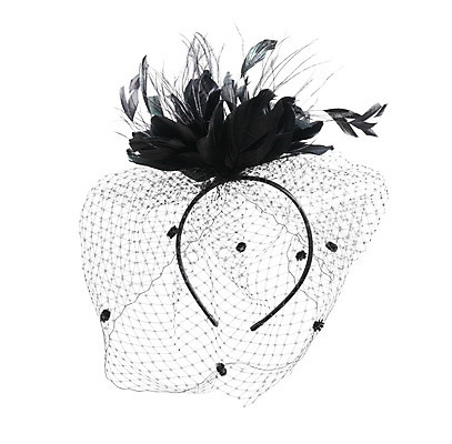 포토 JPG 해외이미지 옷 사람없음 유행 검은색 수확 자르기 깃털 흰배경 망사 베일 고딕 고립 스타일 차단 해외202004 해외포토 컬러 백그라운드 농업 모션 흰색 직물 파일형식 이미지허브