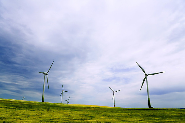 포토 JPG 해외이미지 식물 산업 밭 자연 하늘 바람 풍경 사람없음 글로벌 농장 우주 환경 탑 힘 재활용 사막 풍차 발전기 에너지 변화 풍력에너지 역 보호 자원 세대 유지 혁명 개발 사바나 이산화탄소 효율 공급 해외202004 해외포토 자연요소 건축물 컨셉 농업 교통시설 날씨 발전소 그린에너지 친환경 생태계 파일형식 이미지허브