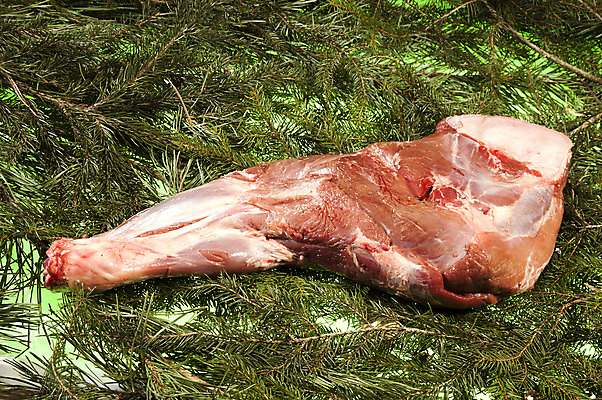 포토 JPG 해외이미지 동물 1 유럽 분홍색 백그라운드 농업 신체 포유류 자연 유리 양파 뼈 육류 돼지고기 서기 사람없음 검은색 가축 흰색 돼지 소 숲 작음 뿌리기 가득함 어깨 피클 냄새 슛 주둥이 불쾌함 해외202004 해외포토 감정 나라 산업 컬러 채소 식재료 모션 재질 신체부위 크기 생태계 절임 파일형식 이미지허브