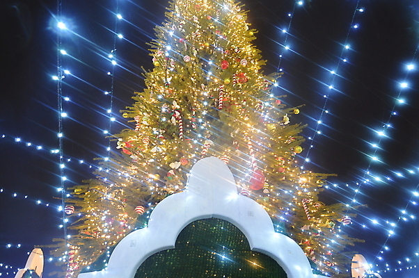 포토 JPG 해외이미지 나무 계절 백그라운드 크리스마스 겨울 휴가 조명 거리 사람없음 야외 장식 빨간색 파란색 빛 도시풍경 화환 황혼 램프 도시 야간 저녁 소프트포커스 12월 보케 타운 블러 해외202004 해외포토 자연요소 식물 기념일 꽃 컬러 촬영기법 풍경 일몰 날짜 파일형식 이미지허브