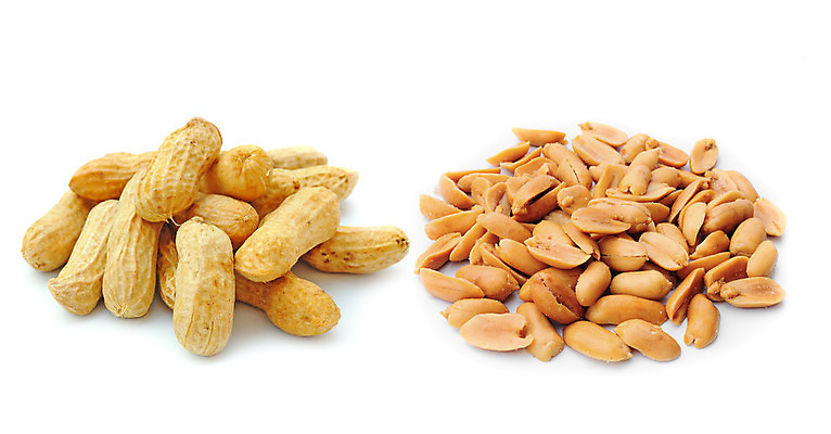 포토 JPG 해외이미지 음식 백그라운드 재료 자연 건조 건강 씨앗 사람없음 갈색 견과류 껍질 흰색 그룹 굽기 오브젝트 유기농 날것 땅콩 내추럴 고립 절임 채식주의자 해외202004 해외포토 식물 웰빙 컬러 구이 생태계 채식 파일형식 이미지허브