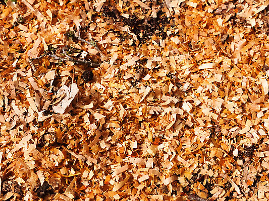 포토 JPG 해외이미지 나무 식물 디자인 계절 공원 백그라운드 컨셉 단풍 잎 패턴 오렌지 자연 벽지 추상 풍경 사람없음 야외 목재 컬러풀 갈색 노란색 환경 활발 가을 거친 황금 숲 유기농 질감 나무껍질 10월 내추럴 그런지 옛날 울퉁불퉁 해외202004 해외포토 웰빙 공공시설 컬러 무늬 과일 재료 껍질 날짜 생태계 파일형식 이미지허브