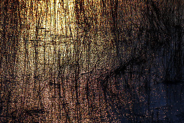 포토 JPG 해외이미지 모양 식물 백그라운드 겨울 자연 풍경 경사 사람없음 야외 옆모습 햇빛 환경 냉동 얼음 추위 무대 저녁 그늘 만족 질감 서식 문학 자원 해외202004 영광군 해외포토 자연요소 계절 감정 뷰포인트 태양 야간 전라남도 생태계 파일형식 이미지허브