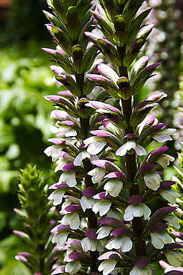 포토 JPG 해외이미지 식물 꽃잎 꽃 야생동물 결혼 자연 발렌타인데이 선물 사랑 사람없음 태양 장미 노란색 봄 싱글 데이지 부에노스아이레스 파리(프랑스) 해외202004 해외포토 자연요소 동물 계절 감정 컬러 데이이벤트 이벤트 생태계 파일형식 이미지허브