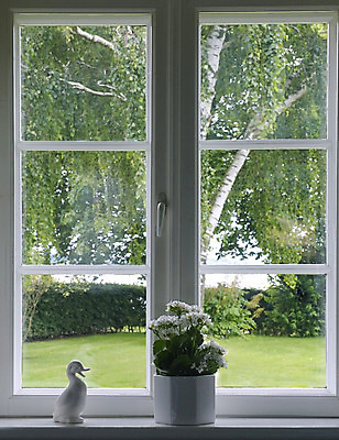 포토 JPG 해외이미지 나무 라이프스타일 디자인 계절 꽃 화분 꽃다발 잎 창문 유리 날씨 주택 프레임 실내 사람없음 내부 목재 장식 초록색 꽃병 봄 흰색 신선 뜨거움 그리너리 안락 해외202004 해외포토 식물 컬러 컨셉 재료 재질 건물 생활 파일형식 트랜드컬러 이미지허브