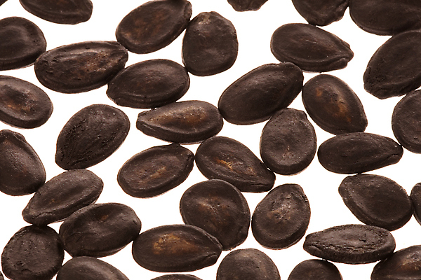 포토 JPG 해외이미지 음식 다이어트 채소 수박 건강 씨앗 사람없음 검은색 신선 멜론 먹기 묘사 알맹이 날것 고립 해외202004 해외포토 식물 컬러 과일 모션 파일형식 이미지허브