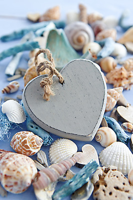 포토 JPG 해외이미지 여행 백그라운드 휴가 프레임 사랑 사람없음 목재 장식 여름 파란색 우주 수확 하트 마음 시골 해외202004 해외포토 모양 나무 계절 감정 컬러 농업 재료 파일형식 이미지허브