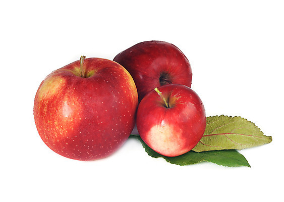 포토 JPG 해외이미지 식물 1 음식 백그라운드 잎 농업 다이어트 과일 자연 디저트 건강 3 사람없음 빨간색 초록색 컬러풀 흰색 신선 달콤 사과 먹기 싱글 유기농 강렬 고립 숙성 채식주의자 해외202004 해외포토 웰빙 산업 컬러 모션 맛 생태계 채식 파일형식 이미지허브