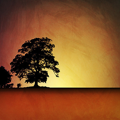 포토 JPG 해외이미지 나무 백그라운드 밭 일러스트 풍경 사람없음 시골 고독 질감 그런지 수평선 해외202004 해외포토 식물 감정 농업 파일형식 이미지허브