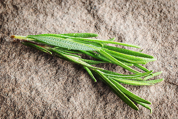 포토 JPG 해외이미지 식물 줄 음식 꽃다발 백그라운드 잎 다이어트 채소 재료 함께함 건강 종류 요리 사람없음 치료 초록색 어둠 회색 나뭇가지 신선 양념 삼 선택 약초 다발 허브 향신료 유기농 질감 향기 향 아로마테라피 로즈메리 내추럴 고립 백리향 석판 치료제 해외202004 해외포토 나무 웰빙 꽃 컬러 컨셉 의학 약 풀_식물 냄새 테라피 향미료 파일형식 이미지허브