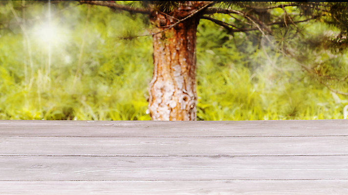 포토 JPG 해외이미지 템플릿 디자인 공원 백그라운드 자연 탁자 표면 추상 사람없음 야외 목재 초록색 빛 햇빛 태양 우주 정원 맑음 봄 공백 전시 흰색 시골 신선 널 상품 정상 매끈함 갑판 책상 복고 보케 내추럴 무료 옛날 목업 해외202004 해외포토 자연요소 나무 계절 공공시설 컬러 가구 무늬 배_교통 재료 날씨 감각 생태계 파일형식 이미지허브