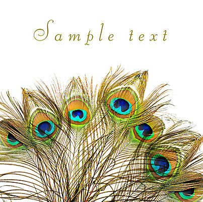 포토 JPG 해외이미지 동물 디자인 남자 야생동물 백그라운드 패턴 자연 조류 추상 미술 사람없음 장식 초록색 파란색 빛 컬러풀 노란색 우주 흰색 우아함 공작 깃털 오브젝트 질감 꼬리 솜털 고립 이국적 해외202004 해외포토 컬러 컨셉 무늬 문화예술 사람 생태계 파일형식 이미지허브