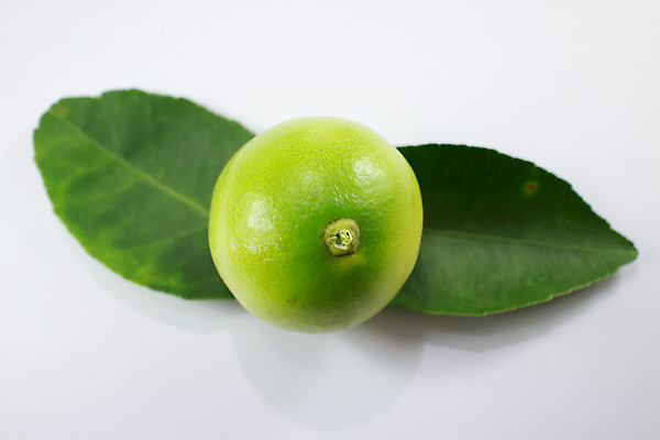 포토 JPG 해외이미지 나무 식물 음식 잎 농업 과일 자연 귤 매달리기 건강 사람없음 초록색 노란색 수확 나뭇가지 신선 다발 레몬 유기농 내추럴 숙성 해외202004 해외포토 웰빙 산업 컬러 모션 생태계 파일형식 이미지허브