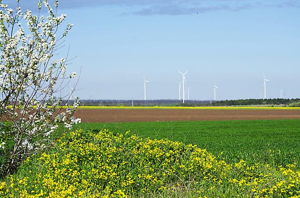 포토 JPG 해외이미지 농업 자연 하늘 풍경 사람없음 농장 농경지 우주 봄 목장 풍차 수확 성장 시골 땅 수평선 해외202004 해외포토 계절 산업 생태계 파일형식 이미지허브