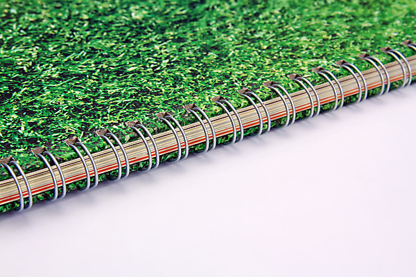 포토 JPG 해외이미지 학생 교육 종이 비즈니스 졸업 텍스트 학교 수업 미래 새로움 아이디어 사람없음 책 스터디 사무실 쌓기 성경 과학기술 덮개 흰색 오픈 그룹 변화 큼 강의 읽기 뇌 교과서 대학교 법 페이지 사전 서점 고립 옛날 지능 해외202004 해외포토 컬러 컨셉 종교용품 모션 교재 기술 학습 상점 뚜껑 크기 파일형식 이미지허브