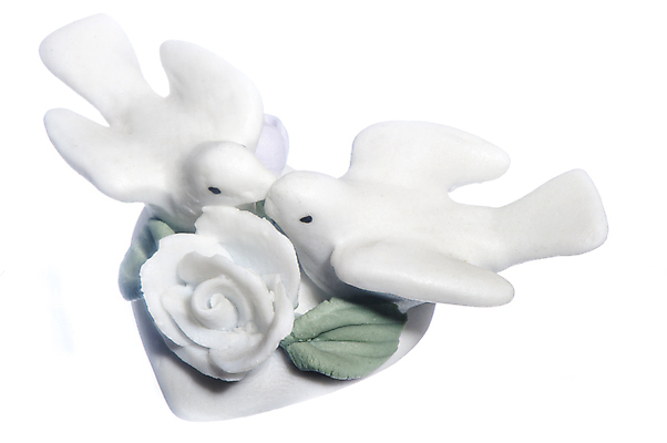 포토 JPG 해외이미지 전통 커플 기념일 꽃 감정 꽃다발 결혼 관계 결혼식 휴가 선물 사랑 이벤트 사람없음 선물상자 신혼여행 흰색 축하 반지 황금 은색 보석 심볼 열정 다이아몬드 해외202004 해외포토 식물 컬러 컨셉 장신구 상자 광석 파일형식 이미지허브