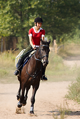 포토 JPG 해외이미지 동물 스포츠 자연 한명 안전 사람 성인 야외 운동 갈색 점프 시골 승마 승차 헬멧 집중 속도 해외202004 해외포토 1 컬러 컨셉 모션 건강 보호장비 생태계 파일형식 이미지허브