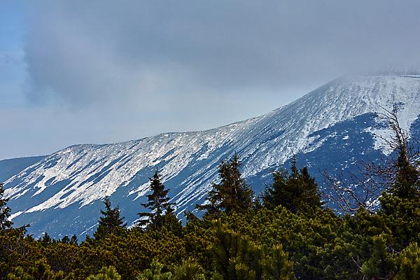 포토 JPG 해외이미지 나무 식물 구름 도로 길 자국 자연 하늘 산 풍경 경사 사람없음 봄 하이킹 바위 숲 폴란드 가문비나무 해외202004 해외포토 자연요소 계절 유럽 교통시설 레저 돌_바위 생태계 파일형식 이미지허브