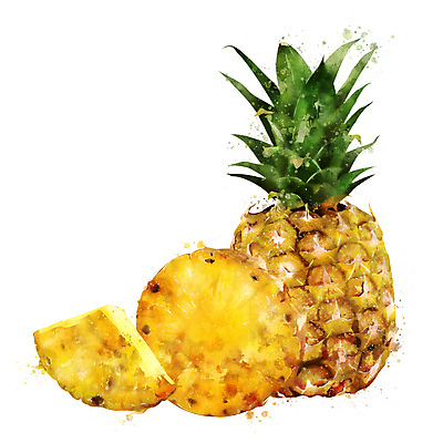 포토 JPG 해외이미지 과일 일러스트 사람없음 노란색 파인애플 해외202004 해외포토 컬러 열대과일 파일형식 이미지허브