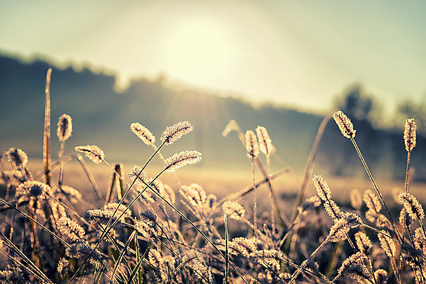 포토 JPG 해외이미지 겨울 자연 아침 사람없음 냉동 얼음 이탈리아 추위 해외202004 해외포토 주간 자연요소 계절 유럽 생태계 파일형식 이미지허브