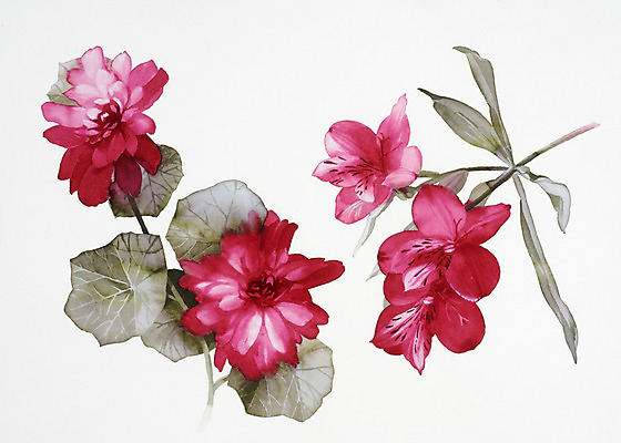 JPG 해외이미지 식물 일러스트 붓터치 수채화 사람없음 그림 번짐 해외202004 해외일러스트 파일형식 효과 이미지허브