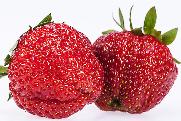 포토 JPG 해외이미지 열매 음료 음식 잎 과일 자연 딸기 디저트 건강 사람없음 빨간색 초록색 활발 수확 흰색 신선 달콤 맛 먹기 상쾌 유기농 날것 내추럴 고립 숙성 채식주의자 해외202004 해외포토 식물 웰빙 감정 컬러 컨셉 농업 모션 생태계 채식 파일형식 이미지허브