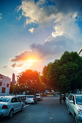 포토 JPG 해외이미지 나무 도로 자동차 파노라마 사람없음 옆모습 햇빛 도시 해외202004 해외포토 식물 길 육상교통 뷰포인트 교통시설 촬영기법 태양 파일형식 이미지허브